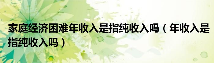 家庭经济困难年收入是指纯收入吗（年收入是指纯收入吗）