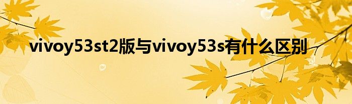 vivoy53st2版与vivoy53s有什么区别