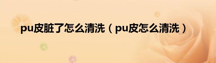 pu皮脏了怎么清洗（pu皮怎么清洗）