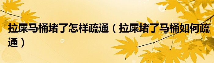 拉屎马桶堵了怎样疏通（拉屎堵了马桶如何疏通）