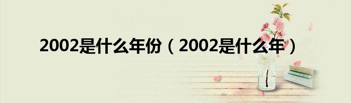 2002是什么年份（2002是什么年）