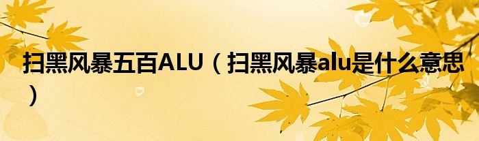 扫黑风暴五百ALU（扫黑风暴alu是什么意思）