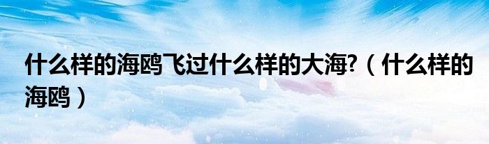 什么样的海鸥飞过什么样的大海?（什么样的海鸥）