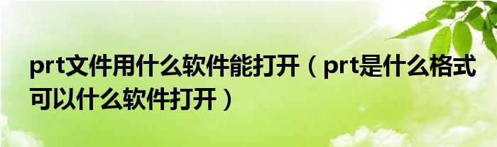 prt文件用什么软件能打开（prt是什么格式可以什么软件打开）