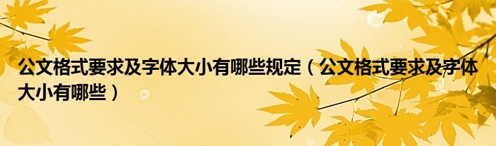 公文格式要求及字体大小有哪些规定（公文格式要求及字体大小有哪些）