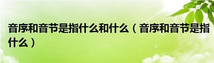 音序和音节是指什么和什么（音序和音节是指什么）