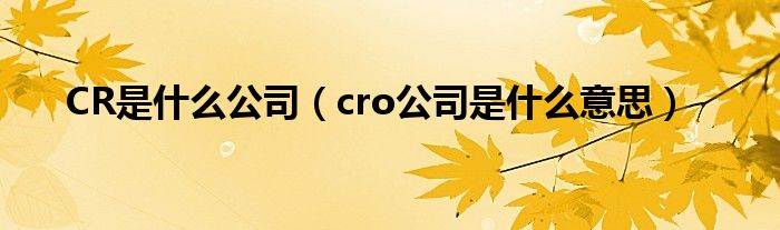 CR是什么公司（cro公司是什么意思）