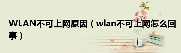 WLAN不可上网原因（wlan不可上网怎么回事）