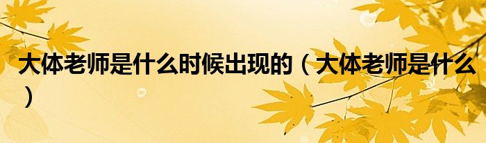 大体老师是什么时候出现的（大体老师是什么）