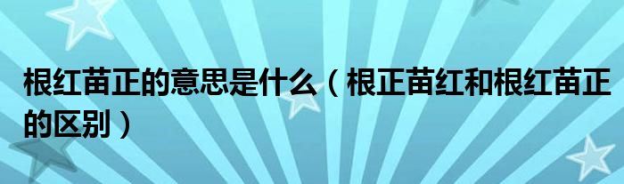 根红苗正的意思是什么（根正苗红和根红苗正的区别）