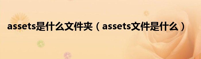 assets是什么文件夹（assets文件是什么）