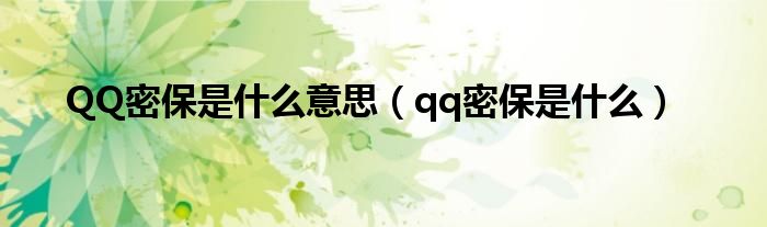 QQ密保是什么意思（qq密保是什么）