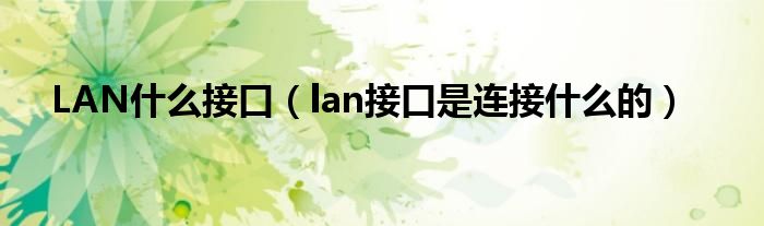 LAN什么接口（lan接口是连接什么的）