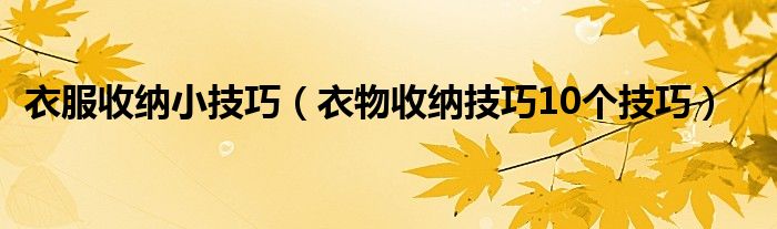 衣服收纳小技巧（衣物收纳技巧10个技巧）