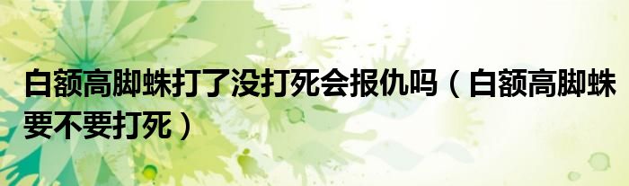 白额高脚蛛打了没打死会报仇吗（白额高脚蛛要不要打死）