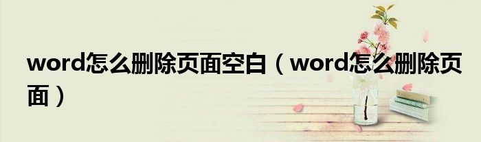 word怎么删除页面空白（word怎么删除页面）