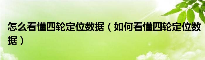 怎么看懂四轮定位数据（如何看懂四轮定位数据）