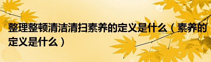 整理整顿清洁清扫素养的定义是什么（素养的定义是什么）