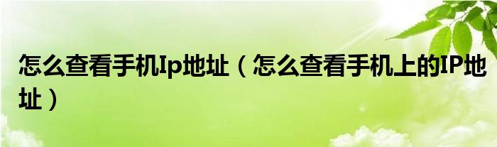 怎么查看手机Ip地址（怎么查看手机上的IP地址）