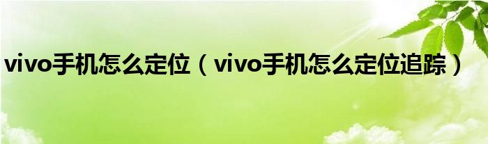 vivo手机怎么定位（vivo手机怎么定位追踪）