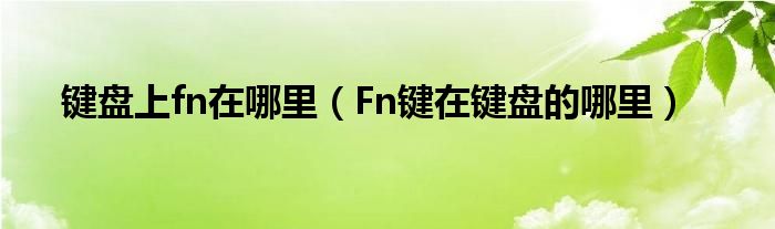 键盘上fn在哪里（Fn键在键盘的哪里）