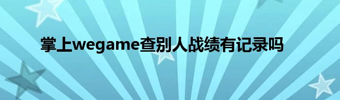 掌上wegame查别人战绩有记录吗