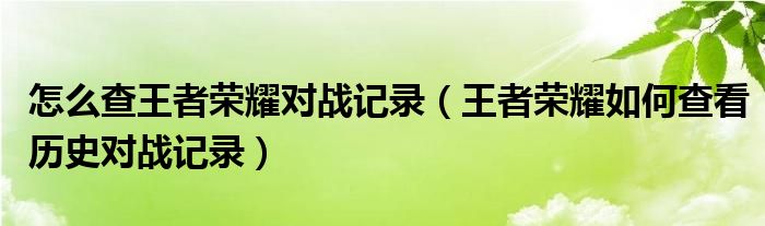 怎么查王者荣耀对战记录（王者荣耀如何查看历史对战记录）