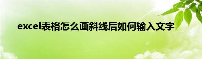 excel表格怎么画斜线后如何输入文字