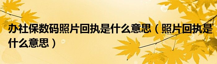 办社保数码照片回执是什么意思（照片回执是什么意思）