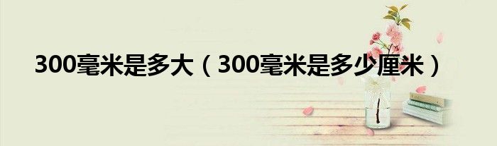 300毫米是多大（300毫米是多少厘米）