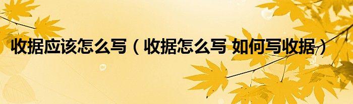 收据应该怎么写（收据怎么写 如何写收据）