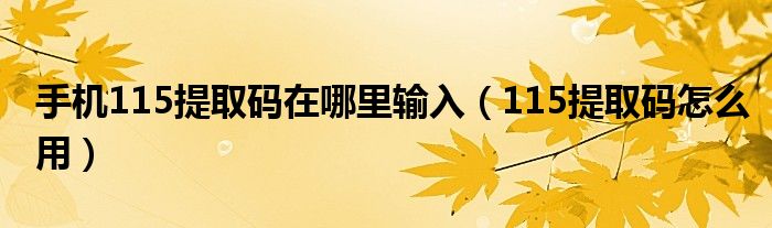 手机115提取码在哪里输入（115提取码怎么用）