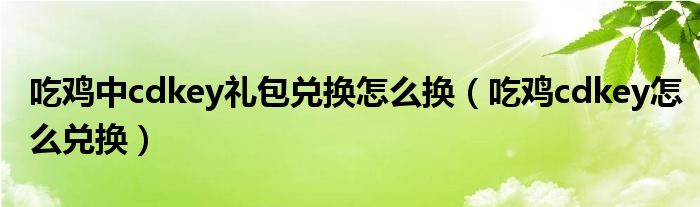 吃鸡中cdkey礼包兑换怎么换（吃鸡cdkey怎么兑换）