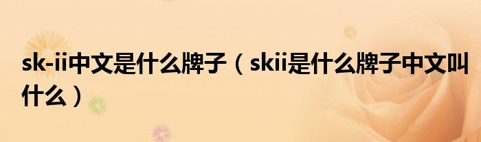 sk-ii中文是什么牌子（skii是什么牌子中文叫什么）