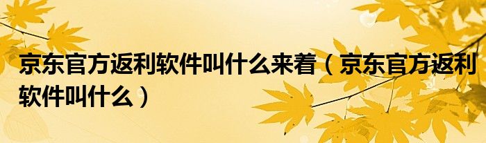 京东官方返利软件叫什么来着（京东官方返利软件叫什么）