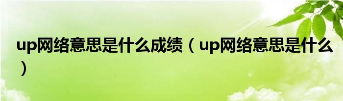 up网络意思是什么成绩（up网络意思是什么）