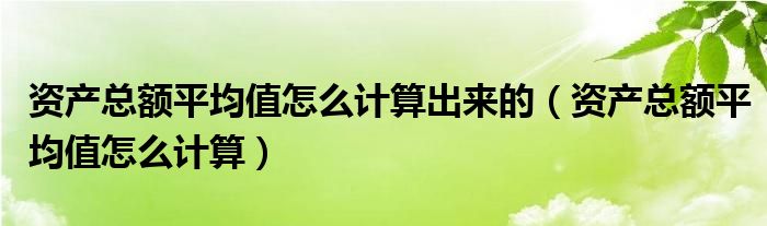 资产总额平均值怎么计算出来的（资产总额平均值怎么计算）