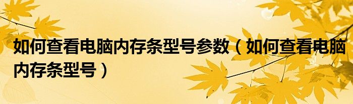 如何查看电脑内存条型号参数（如何查看电脑内存条型号）