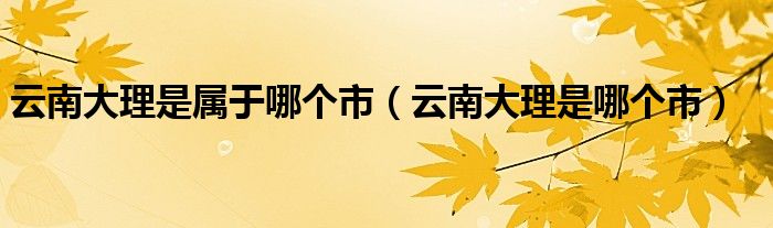 云南大理是属于哪个市（云南大理是哪个市）