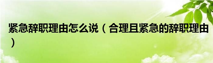 紧急辞职理由怎么说（合理且紧急的辞职理由）