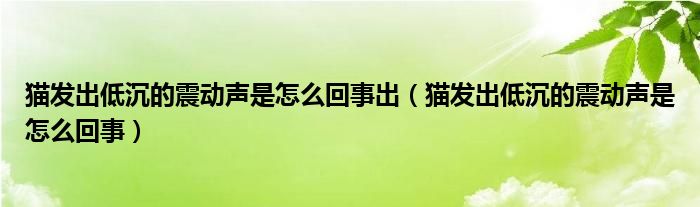 猫发出低沉的震动声是怎么回事出（猫发出低沉的震动声是怎么回事）