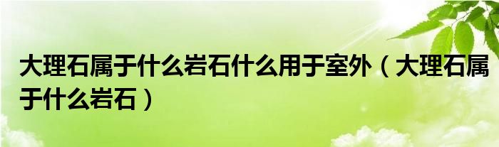 大理石属于什么岩石什么用于室外（大理石属于什么岩石）