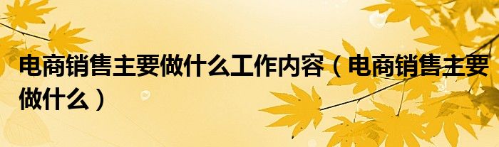 电商销售主要做什么工作内容（电商销售主要做什么）