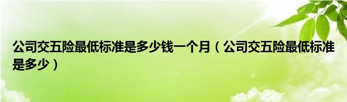 公司交五险最低标准是多少钱一个月（公司交五险最低标准是多少）