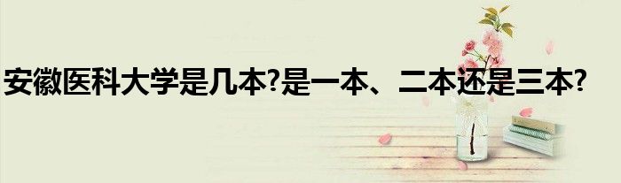 安徽医科大学是几本?是一本、二本还是三本?