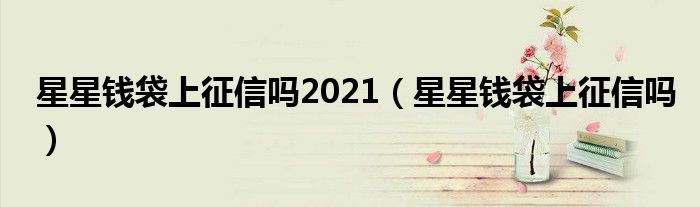 星星钱袋上征信吗2021（星星钱袋上征信吗）