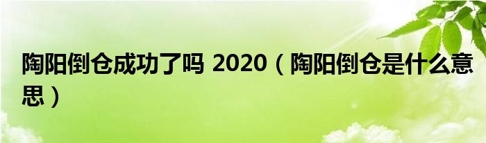 陶阳倒仓成功了吗 2020（陶阳倒仓是什么意思）