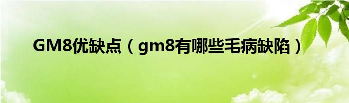 GM8优缺点（gm8有哪些毛病缺陷）