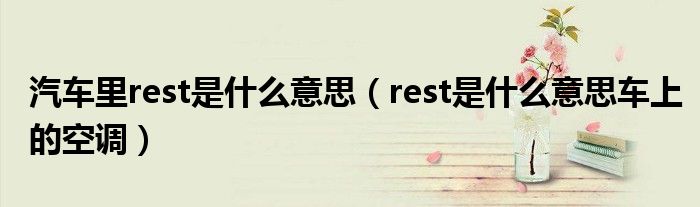 汽车里rest是什么意思（rest是什么意思车上的空调）