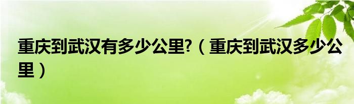 重庆到武汉有多少公里?（重庆到武汉多少公里）